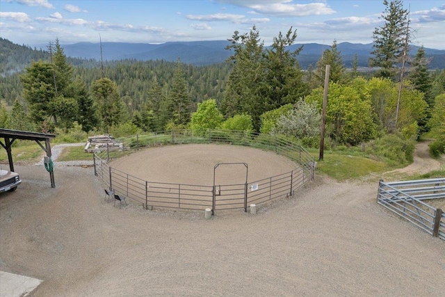 9305 N Harvard Rd, Newman Lake, WA 99025 - photo 28