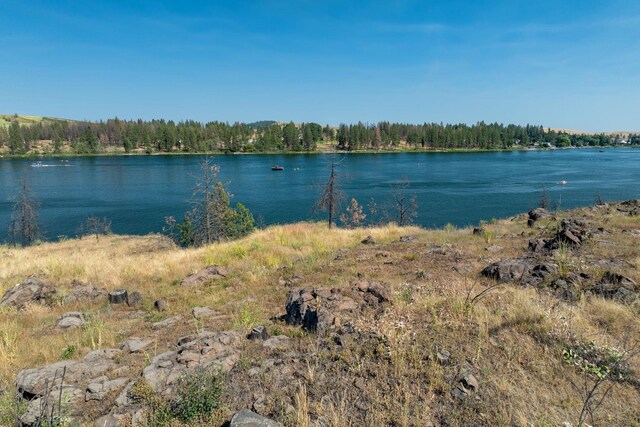 102XX S Granite Dr, Medical Lake, WA 99022 - photo 7