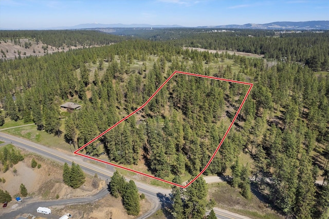 10003 S Gardner Rd, Cheney, WA 99004 - photo 40