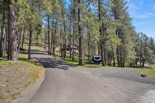 10003 S Gardner Rd, Cheney, WA 99004 - photo 44