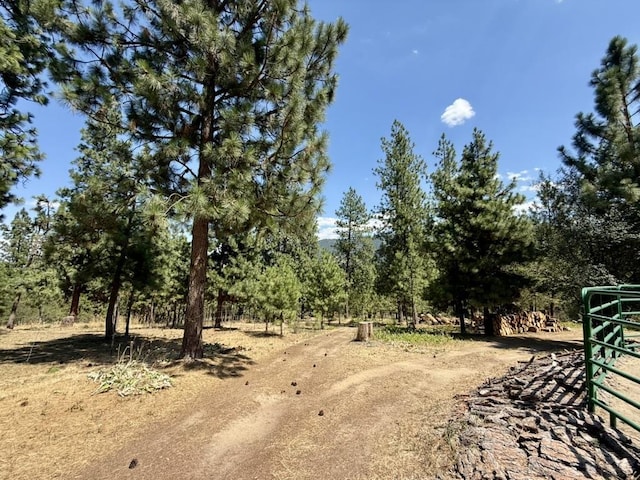 715 S Greenridge Drive 715S Greenridge Dr, Liberty Lake, WA 99019 - photo 47