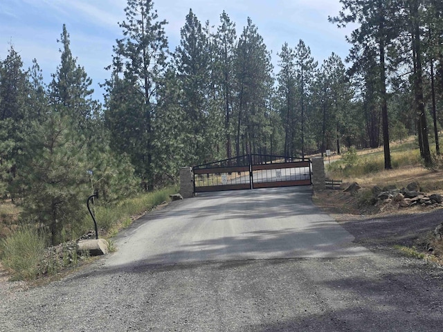 XX Syringa Way, Nine Mile Falls, WA 99026 - photo 1