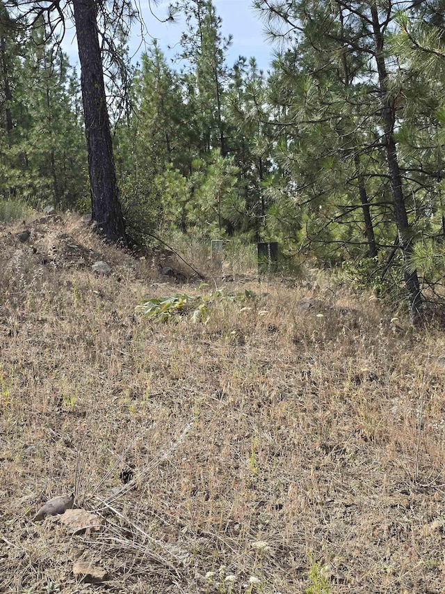 XX Syringa Way, Nine Mile Falls, WA 99026 - photo 11