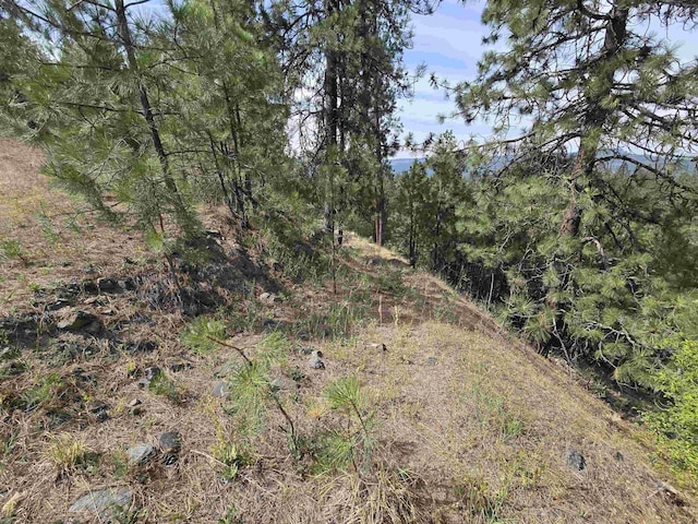 XX Syringa Way, Nine Mile Falls, WA 99026 - photo 12