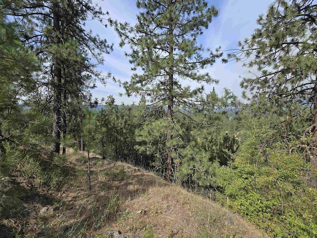 XX Syringa Way, Nine Mile Falls, WA 99026 - photo 13