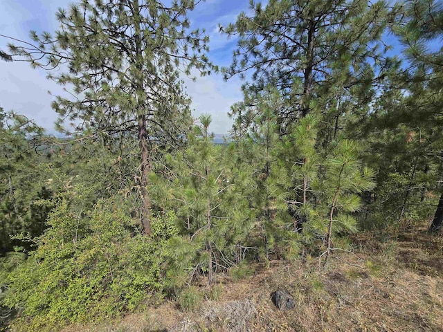 XX Syringa Way, Nine Mile Falls, WA 99026 - photo 14