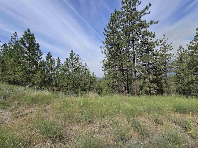 XX Syringa Way, Nine Mile Falls, WA 99026 - photo 15