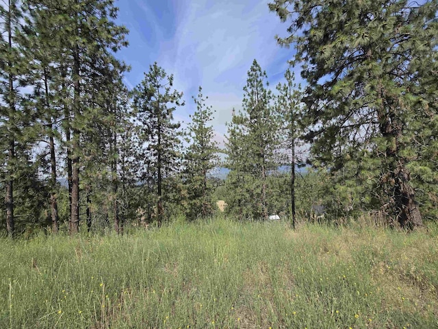 XX Syringa Way, Nine Mile Falls, WA 99026 - photo 16