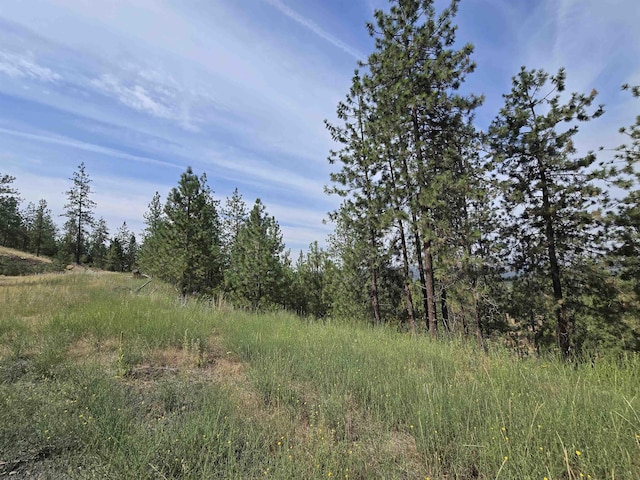 XX Syringa Way, Nine Mile Falls, WA 99026 - photo 17