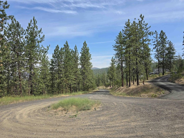XX Syringa Way, Nine Mile Falls, WA 99026 - photo 18