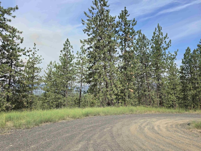 XX Syringa Way, Nine Mile Falls, WA 99026 - photo 19
