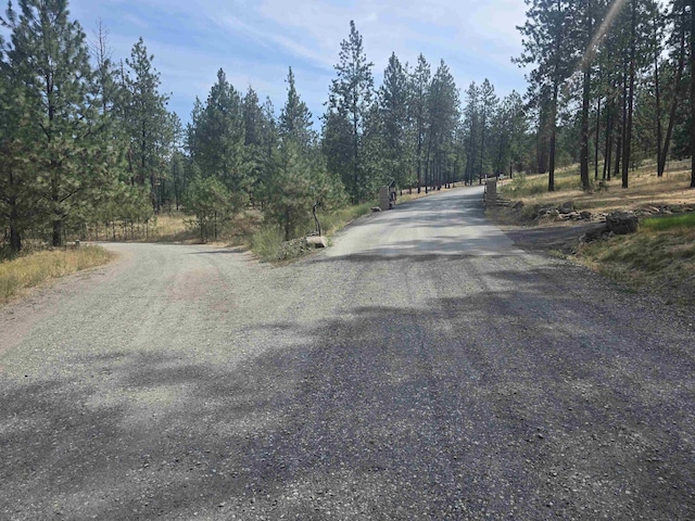 XX Syringa Way, Nine Mile Falls, WA 99026 - photo 3
