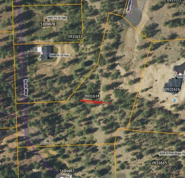 XX Syringa Way, Nine Mile Falls, WA 99026 - photo 4
