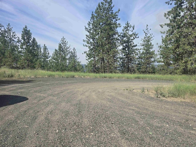 XX Syringa Way, Nine Mile Falls, WA 99026 - photo 5