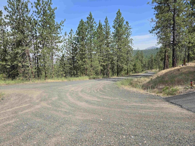 XX Syringa Way, Nine Mile Falls, WA 99026 - photo 6