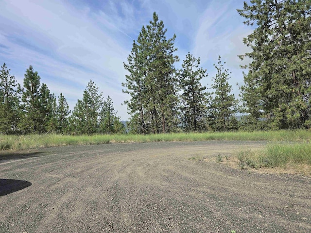 XX Syringa Way, Nine Mile Falls, WA 99026 - photo 7