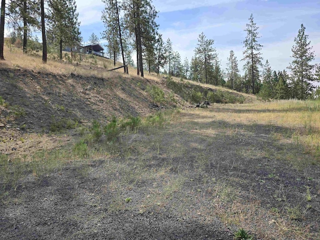 XX Syringa Way, Nine Mile Falls, WA 99026 - photo 8