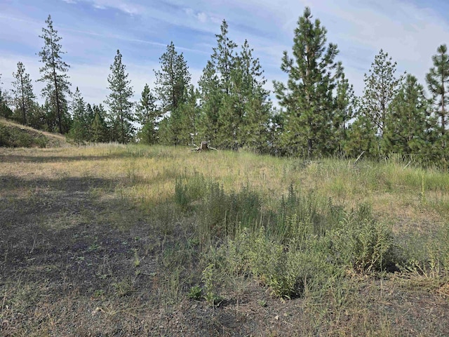 XX Syringa Way, Nine Mile Falls, WA 99026 - photo 9