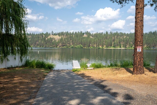 15308 W Bluegrass Rd, Nine Mile Falls, WA 99026 - photo 43