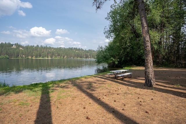 15308 W Bluegrass Rd, Nine Mile Falls, WA 99026 - photo 44
