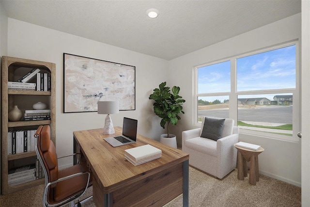 5766 S Zabo Rd, Spokane, WA 99224 - photo 13