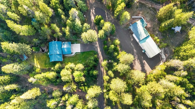 21115 N Mt Spokane Park Dr, Mead, WA 99021 - photo 50