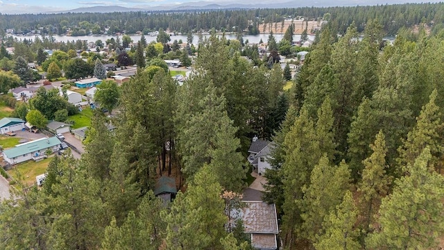 8827 W Heavenly View Ln, Coeur D Alene, ID 83814 - photo 46