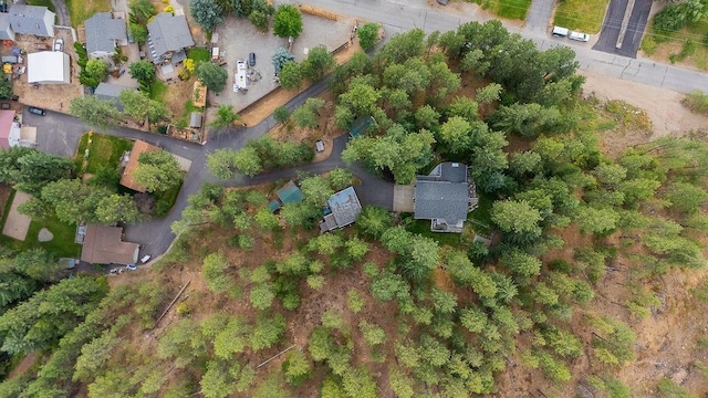 8827 W Heavenly View Ln, Coeur D Alene, ID 83814 - photo 47