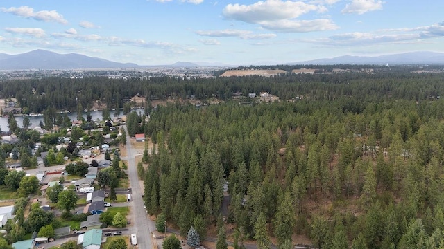 8827 W Heavenly View Ln, Coeur D Alene, ID 83814 - photo 49