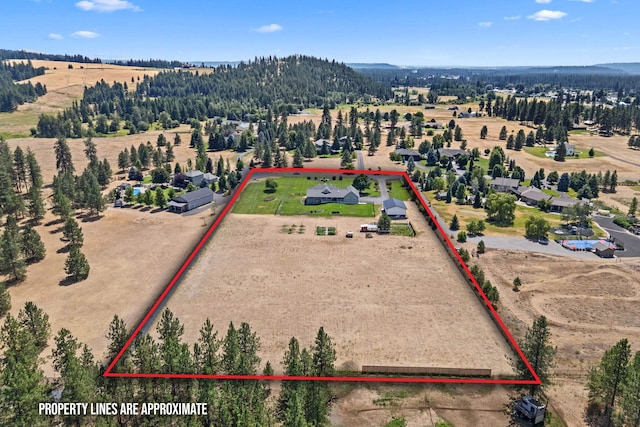 4913 E Kirk Ln, Colbert, WA 99005 - photo 48