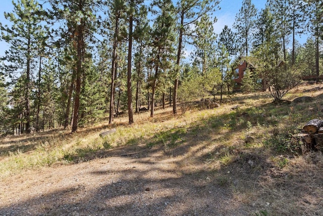 2021 S Eastern Ln, Spokane, WA 99212 - photo 38