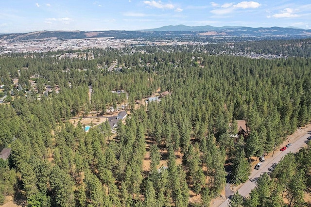 2021 S Eastern Ln, Spokane, WA 99212 - photo 47