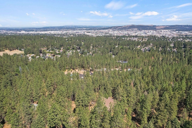2021 S Eastern Ln, Spokane, WA 99212 - photo 49