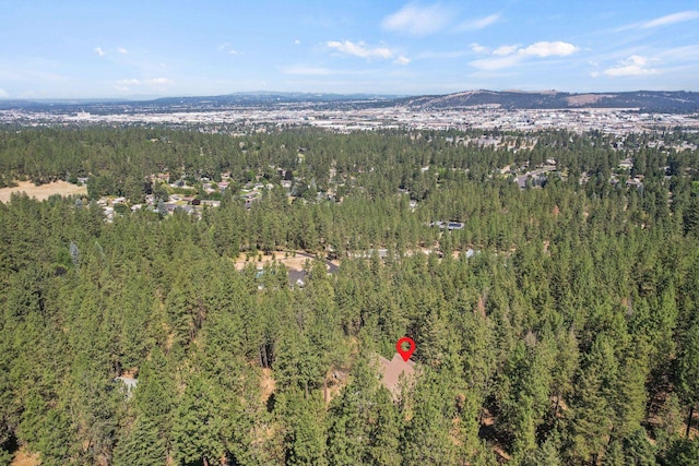 2021 S Eastern Ln, Spokane, WA 99212 - photo 50