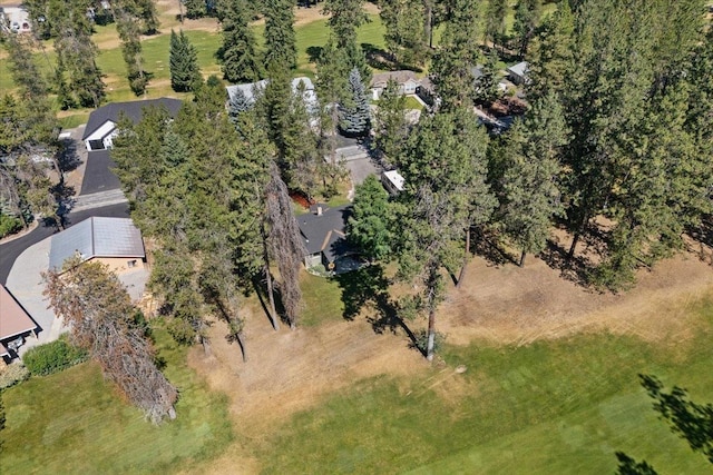 207 Eagle Dr, Chewelah, WA 99109 - photo 29