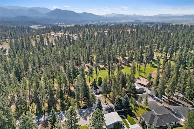 207 Eagle Dr, Chewelah, WA 99109 - photo 31