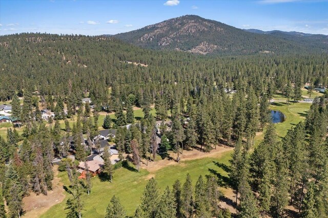 207 Eagle Dr, Chewelah, WA 99109 - photo 33