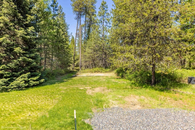 2712 W Eden Ln, Deer Park, WA 99006 - photo 45