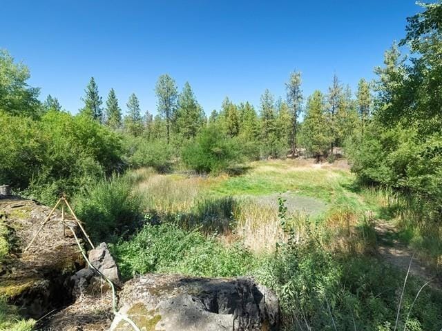 8718 W Anderson Rd, Cheney, WA 99004 - photo 30