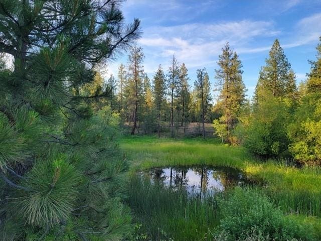 8718 W Anderson Rd, Cheney, WA 99004 - photo 47