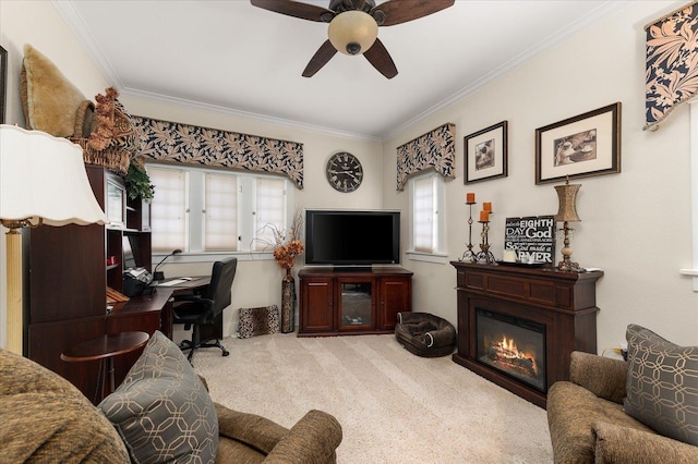 209 W 6th Ave, Ritzville, WA 99169 - photo 19