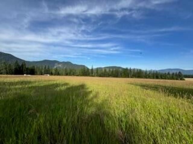 3283 Hyytiainen Rd, Colville, WA 99114 - photo 1