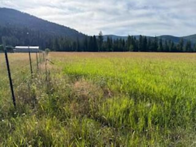 3283 Hyytiainen Rd, Colville, WA 99114 - photo 4