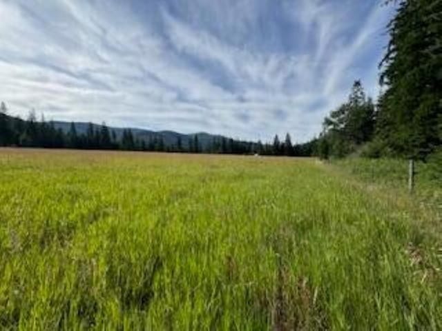 3283 Hyytiainen Rd, Colville, WA 99114 - photo 5