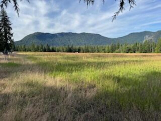 3283 Hyytiainen Rd, Colville, WA 99114 - photo 6