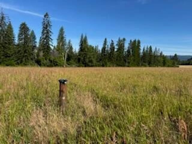 3283 Hyytiainen Rd, Colville, WA 99114 - photo 8