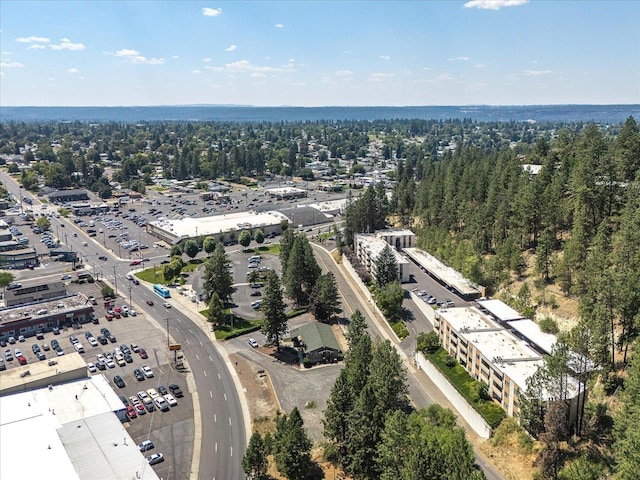 6625 N Austin Rd Unit 301, Spokane, WA 99208 - photo 35