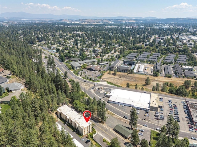6625 N Austin Rd Unit 301, Spokane, WA 99208 - photo 38