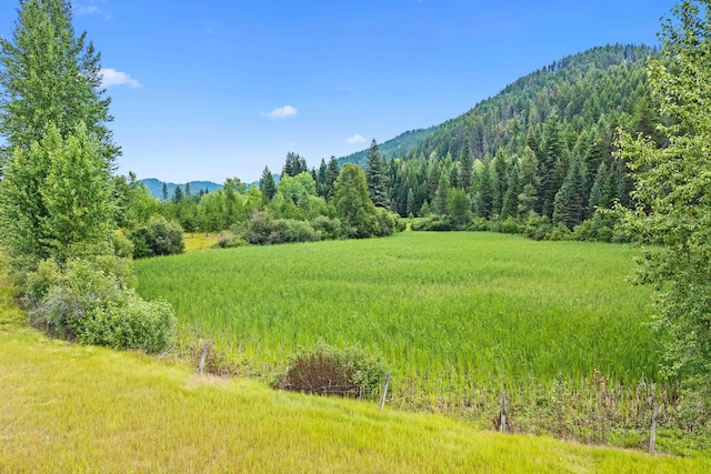 1092 Lime Lake Rd, Metaline Falls, WA 99153 - photo 44