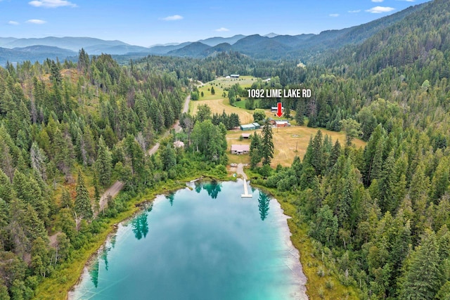 1092 Lime Lake Rd, Metaline Falls, WA 99153 - photo 45